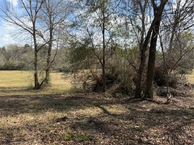32 gorgeous acres are now available in Poplarville. This - photo 35
