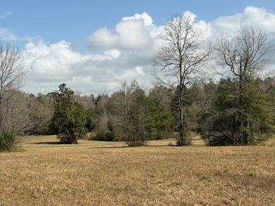 32 gorgeous acres are now available in Poplarville. This - photo 37