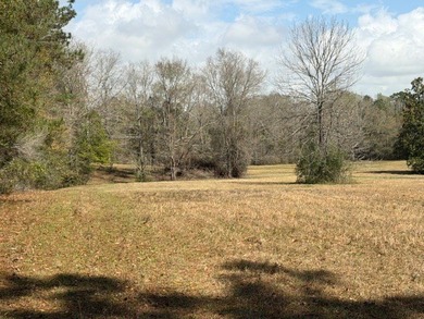 32 gorgeous acres are now available in Poplarville. This - photo 38
