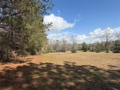 32 gorgeous acres are now available in Poplarville. This - photo 39