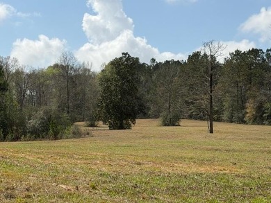 32 gorgeous acres are now available in Poplarville. This - photo 40