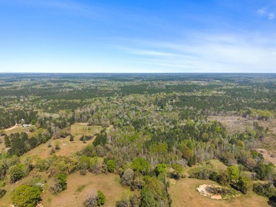 32 gorgeous acres are now available in Poplarville. This - photo 41