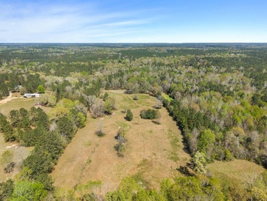 32 gorgeous acres are now available in Poplarville. This - photo 42
