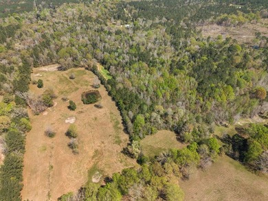 32 gorgeous acres are now available in Poplarville. This - photo 43