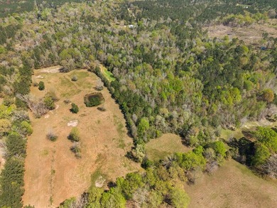 32 gorgeous acres are now available in Poplarville. This - photo 44