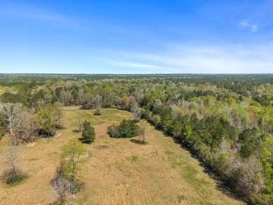 32 gorgeous acres are now available in Poplarville. This - photo 45