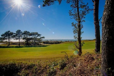 $25,000 Concession on this Premier homesite in Bay Creek's - photo 3