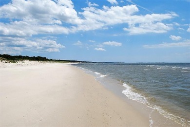 $25,000 Concession on this Premier homesite in Bay Creek's - photo 4