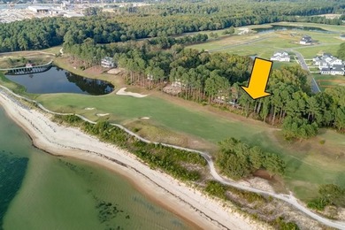 $25,000 Concession on this Premier homesite in Bay Creek's - photo 6
