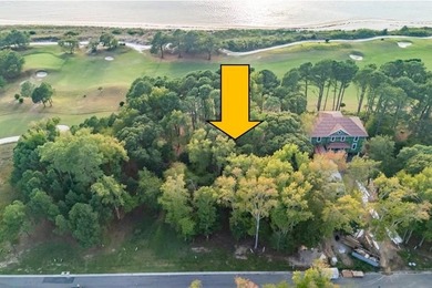 $25,000 Concession on this Premier homesite in Bay Creek's - photo 8
