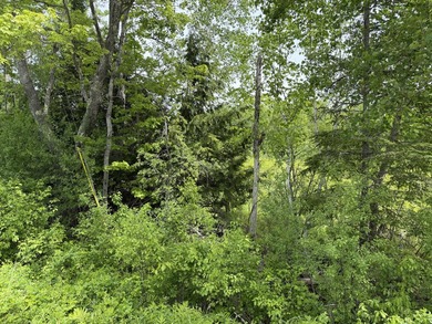 Discover the perfect spot to build your dream home on this - photo 5
