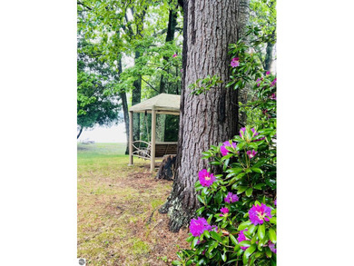 Updated Van Etten Lake Retreat with Income-Producing Cottage - photo 11