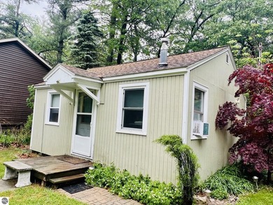 Updated Van Etten Lake Retreat with Income-Producing Cottage - photo 16