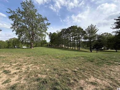 Welcome to this beautiful 3 bed 2 bath home located on a corner - photo 22