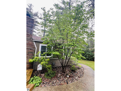 Updated Van Etten Lake Retreat with Income-Producing Cottage - photo 23