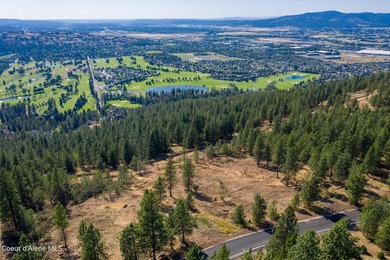 Grande Vista Estates is a one of kind gated development offering - photo 8