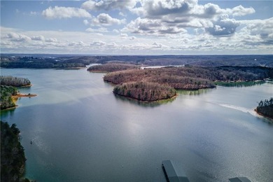 Life on Lake Lanier doesn't have to mean constant maintenance - photo 44