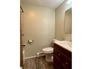 Updated Van Etten Lake Retreat with Income-Producing Cottage - photo 53