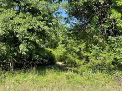 Escape to nature with this beautiful wooded lake lot on Lake - Lake Lot For Sale in Groesbeck, Texas