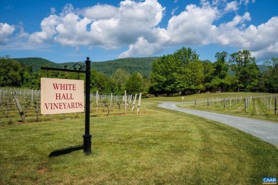 Situated at the foothills of the Blue Ridge Mountains, White - photo 4