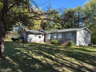 Lake Home For Sale in Roaming Shores, Ohio