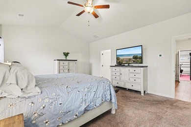 Welcome to 235 Portofino Dr! This spacious home in the Merrill - photo 21