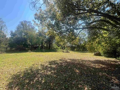 Cleared and level one-third acre lot ready for your new home in - photo 3