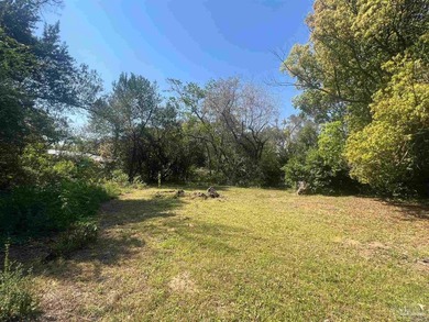 Cleared and level one-third acre lot ready for your new home in - photo 5