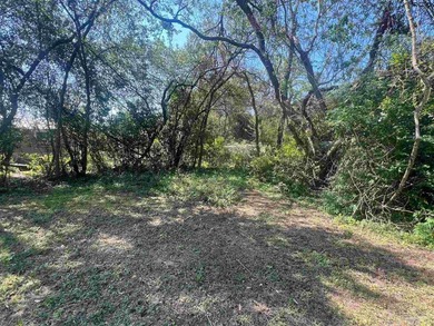Cleared and level one-third acre lot ready for your new home in - photo 7