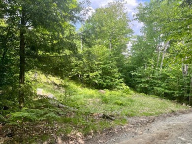 Moosehead Lake Lot For Sale in Greenville Maine