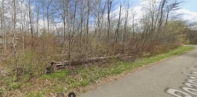 Lake Erie Lot For Sale in Angola New York