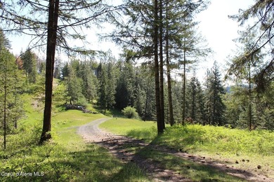 Enjoy the big mountain views and end of the road quiet privacy - photo 1