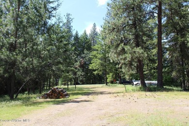 Enjoy the big mountain views and end of the road quiet privacy - photo 2
