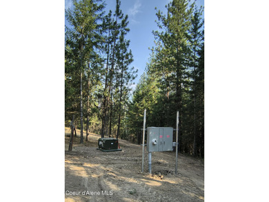 Enjoy the big mountain views and end of the road quiet privacy - photo 4