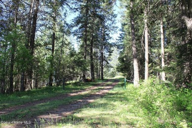 Enjoy the big mountain views and end of the road quiet privacy - photo 7