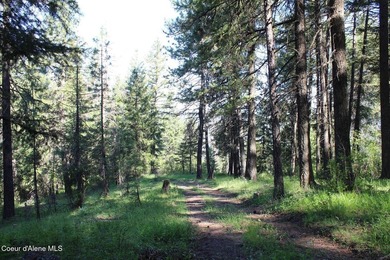 Enjoy the big mountain views and end of the road quiet privacy - photo 8