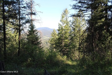 Enjoy the big mountain views and end of the road quiet privacy - photo 9