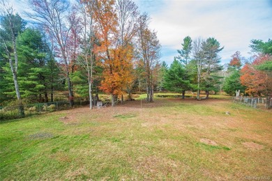 Tucked away on a nice corner lot in a quiet area of Forestburgh - photo 32