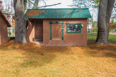 Tucked away on a nice corner lot in a quiet area of Forestburgh - photo 33