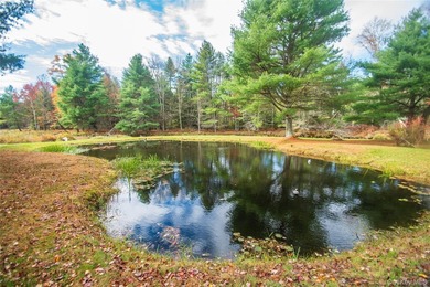 Tucked away on a nice corner lot in a quiet area of Forestburgh - photo 37