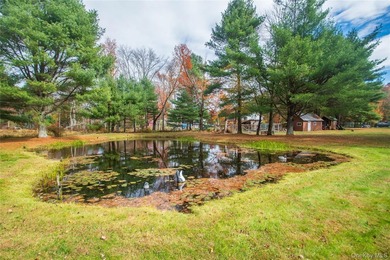 Tucked away on a nice corner lot in a quiet area of Forestburgh - photo 38