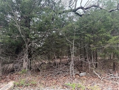 Quiet Lake Lot Near Lake Eufaula - Prime Location in Sportsman's - photo 11