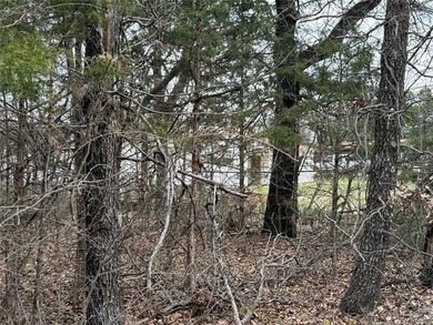Quiet Lake Lot Near Lake Eufaula - Prime Location in Sportsman's - photo 12
