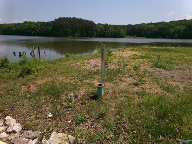 Build your dream getaway on this off water(across the road) lot - photo 14