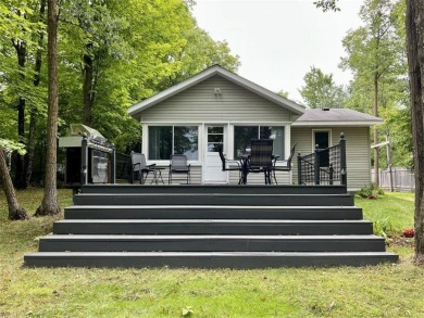 Lake Home For Sale in Woodrow Twp, Minnesota