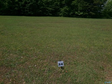 Build your dream getaway on this off water(across the road) lot - photo 27