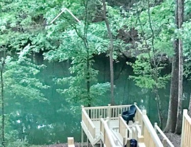 SMITH LAKE/BLUE WATER POINTE, Gated, highly desired Blue Water - photo 45