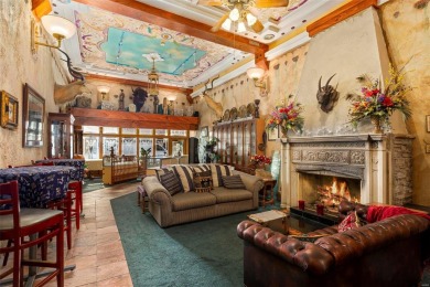 This is your chance to own and live in a Downtown St. Louis