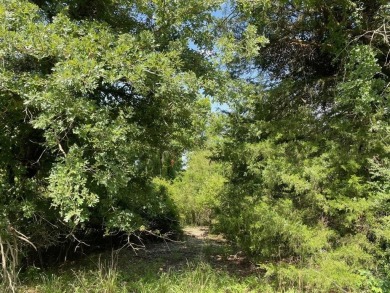 This wooded lot on Lake Limestone is ideal for relaxation and - Lake Lot For Sale in Groesbeck, Texas