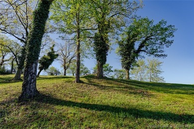 Extremely rare opportunity to acquire a lakefront point property - photo 18